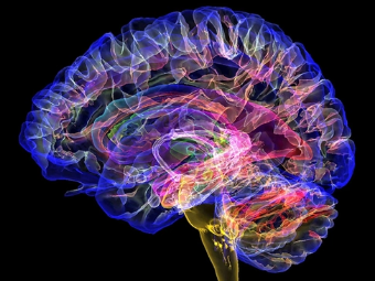 颜射13p大脑植入物有助于严重头部损伤恢复